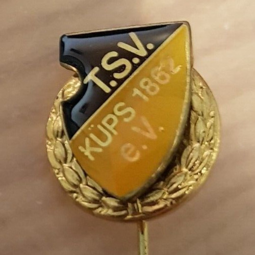 Anstecknadel ehrennadel tsv - ehrennadel,